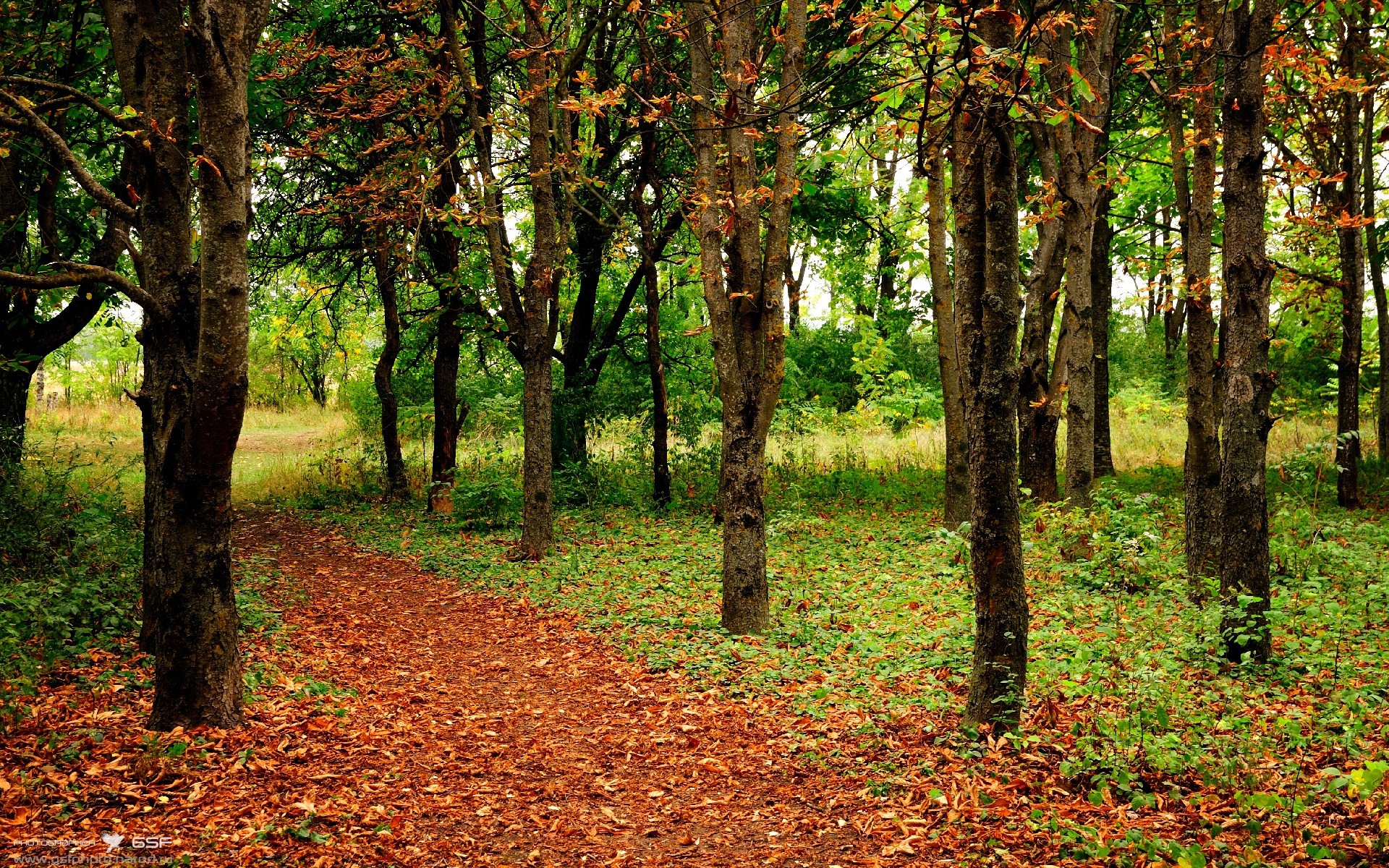 绝境反击的熔炉，印尼队如何淬炼出翻盘奇迹，与陈雨菲的火焰遥相辉映