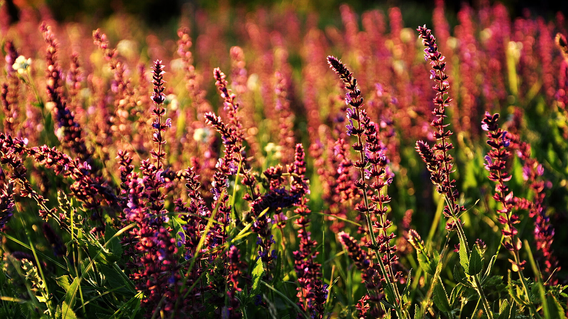 跨界乱纪元,当上海队于伯纳乌掀翻石佛圣城