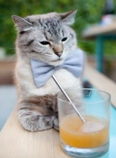 北伦敦铁幕刺破南大王王冠，萨卡一剑封喉书写新王传说