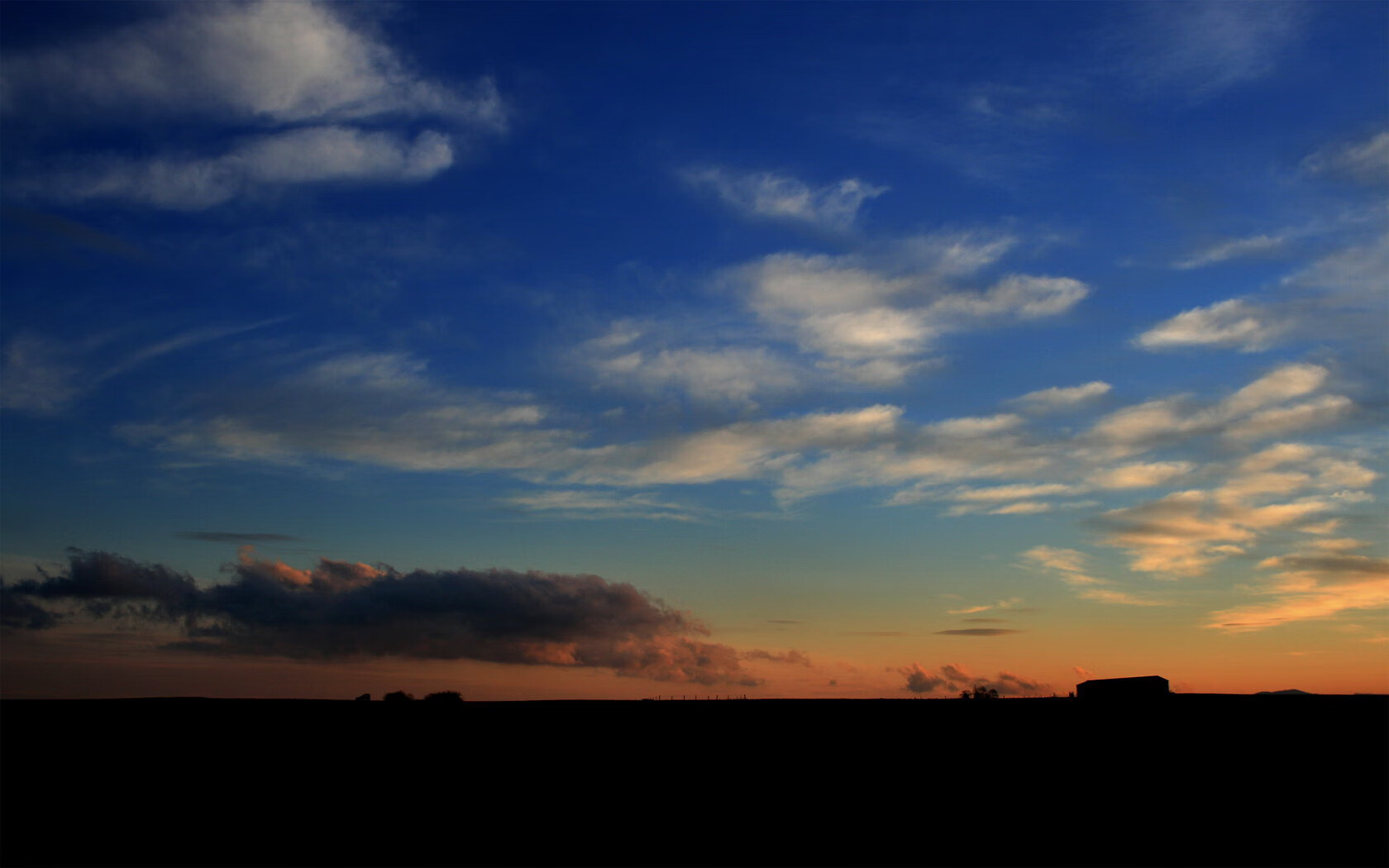 诗人最后一块版图，爱德华兹的枪炮与玫瑰