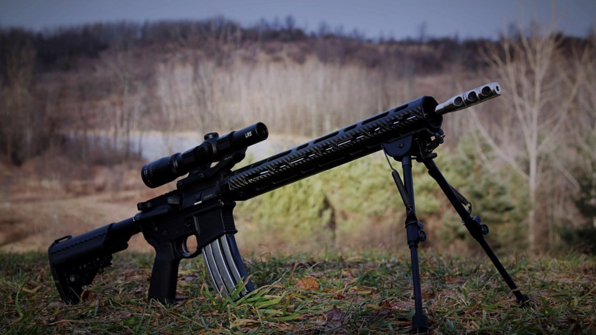 黑色闪电撕裂夜空，小贾伦的罚球线之舞如何点燃灰熊主场希望