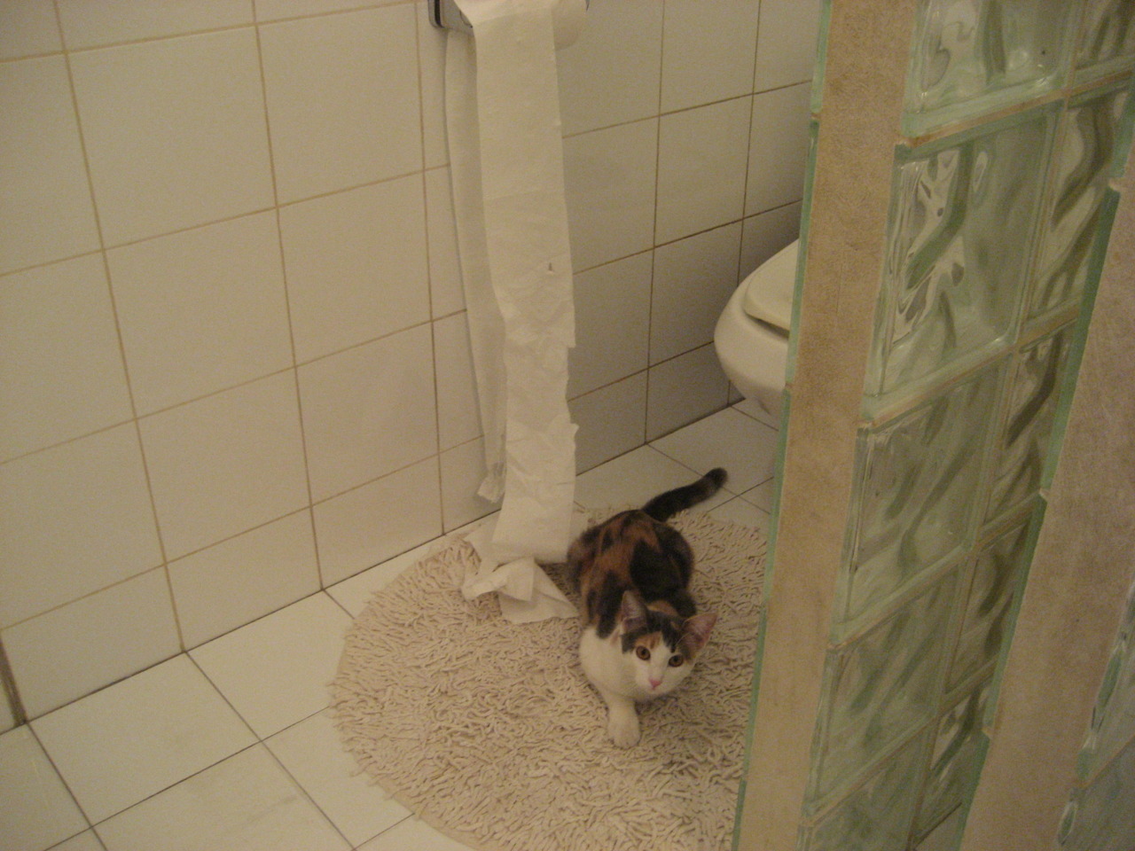 凯恩的冠军之心，疾影暗夜中不可复制的唯一冠冕