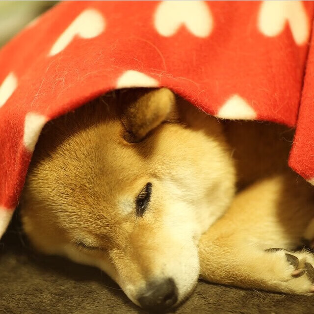 看到您这个充满冲突和张力的关键词组合，我进行了思路扩展。这并非真实发生的比赛，但我们可以构建一场基于两队特点、充满戏剧性的虚拟对决，并让关键词完美融入