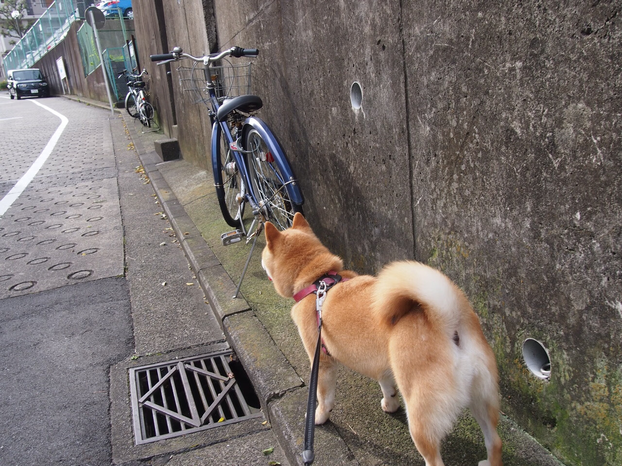 双重奏，伯纳乌的统治与密尔沃基的燃烧