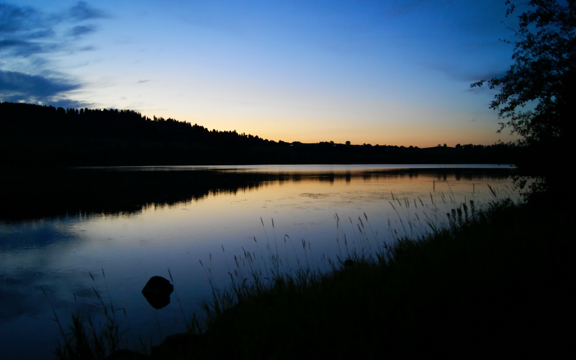 字母哥末节统治攻防，猛龙提前终结悬念力克浙江