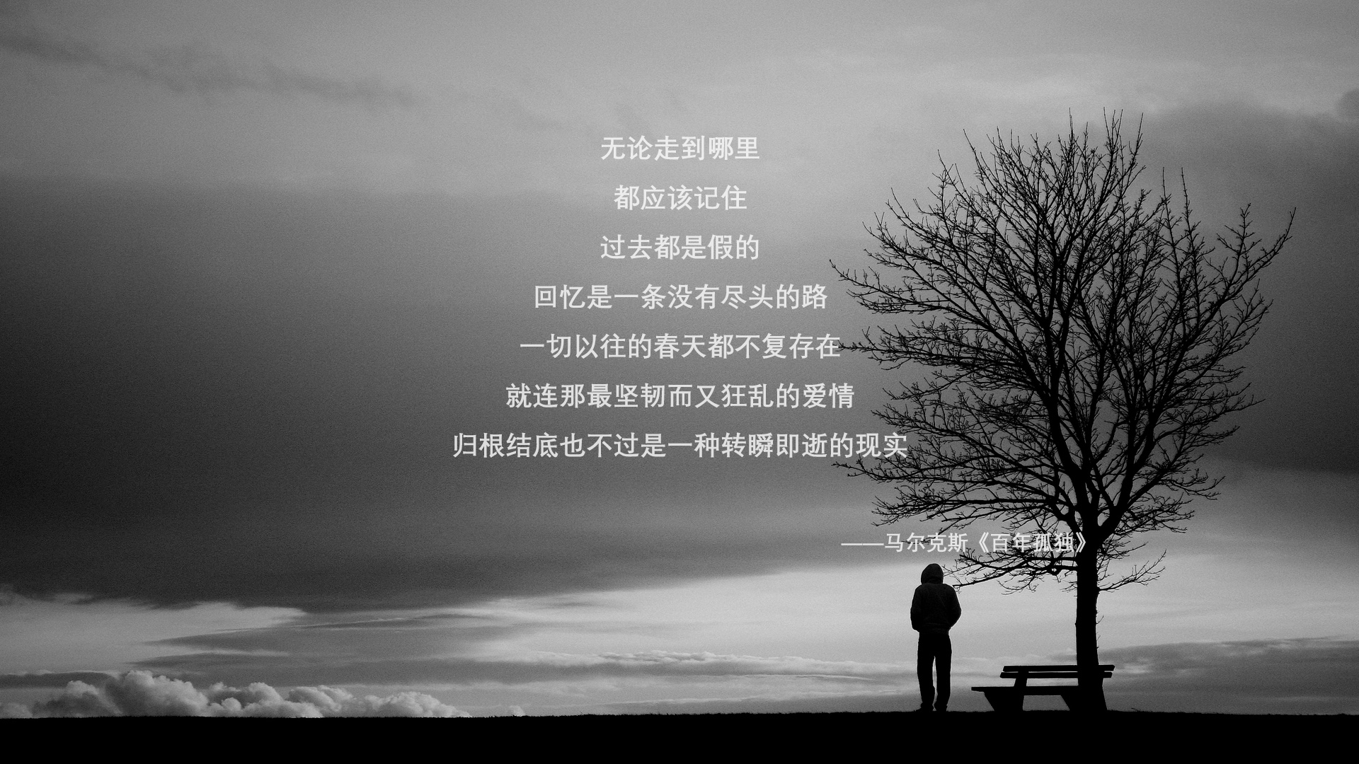 蓝武士的完美风暴,2026世界杯C组,日本如何以全场压制与致命一击完胜匈牙利