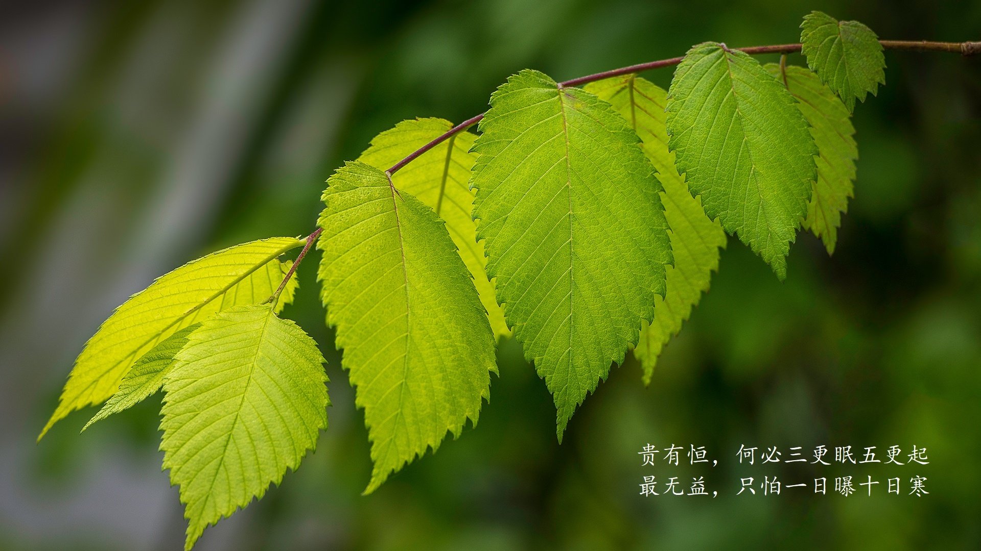逆转之夜，齐耶赫闪耀，2026世界杯D组的独一无二传奇